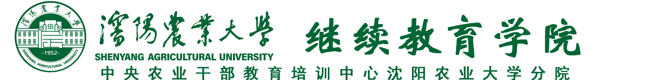 2026国际足联世界杯